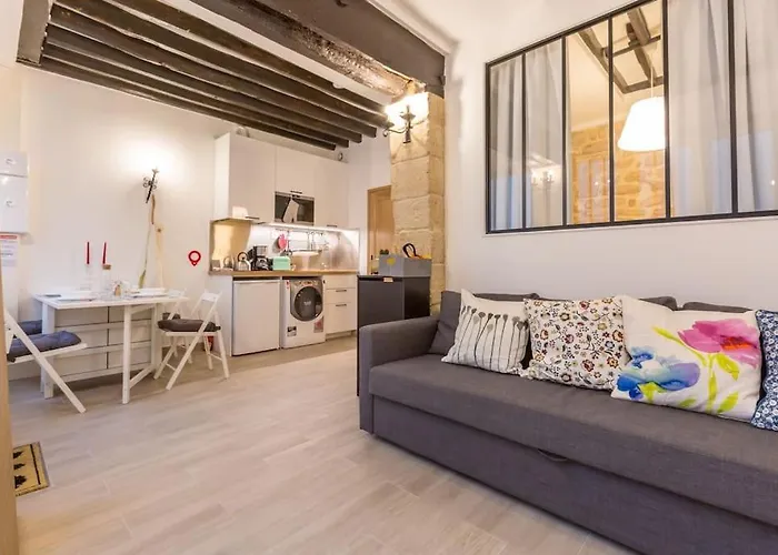 Beautiful Apartment In Louvre Museum