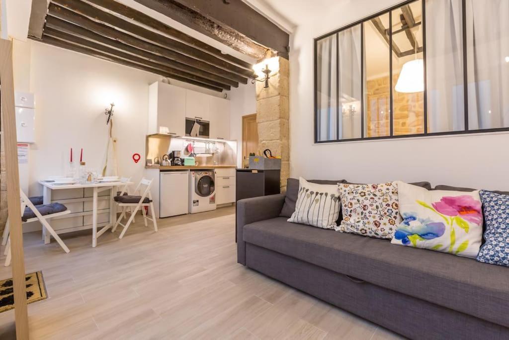 Beautiful In Louvre Museum Apartment Paris